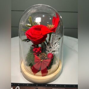 Red Rose Acrylic Glass Dome Holiday Decoration & Every Day Mood Enhancement